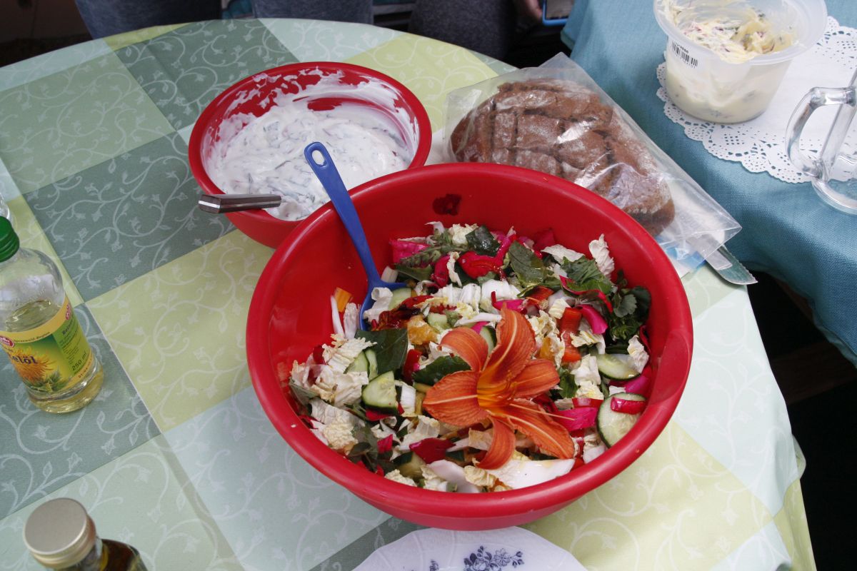Kräuterquark und Salat aus verschiedenen Kräutern